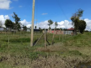 1/4 Acre Piece of Land