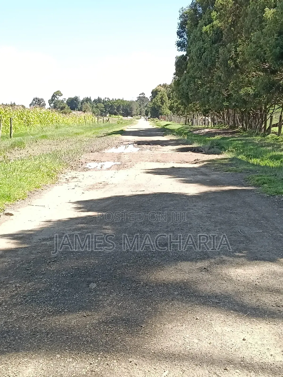 1/4 Acre Piece of Land