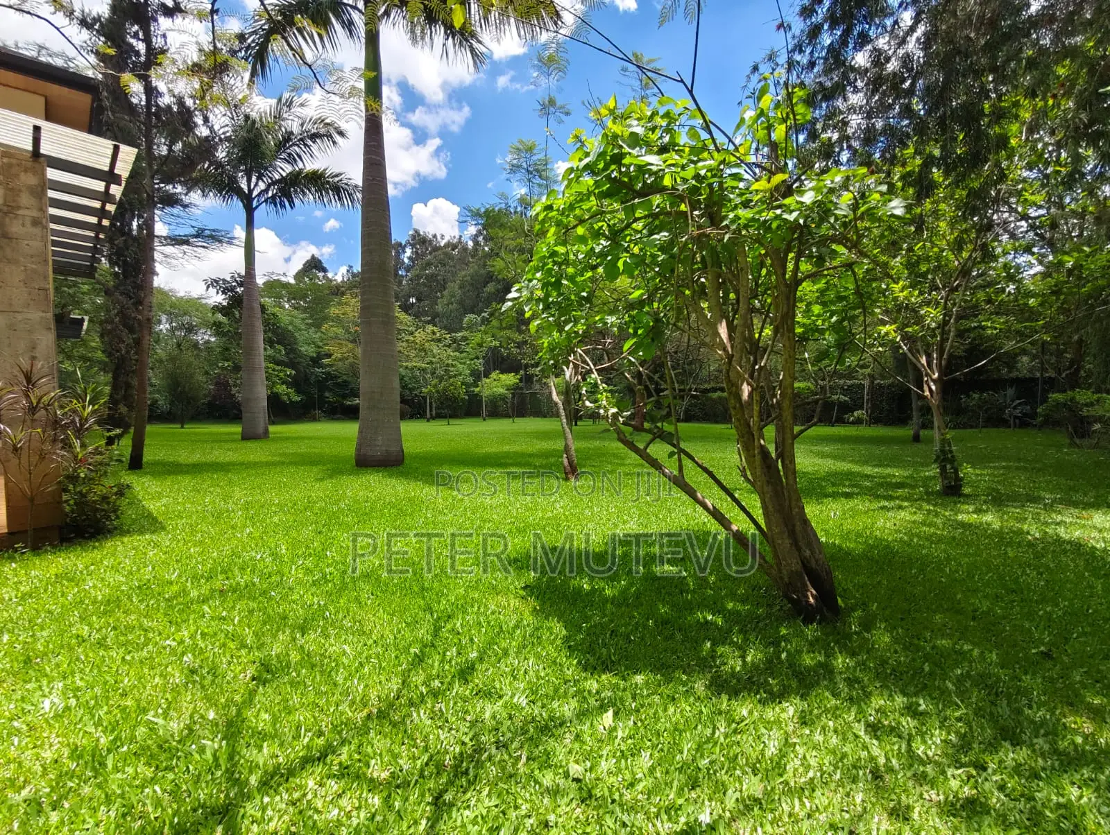 4bdrm House in Hardy for rent