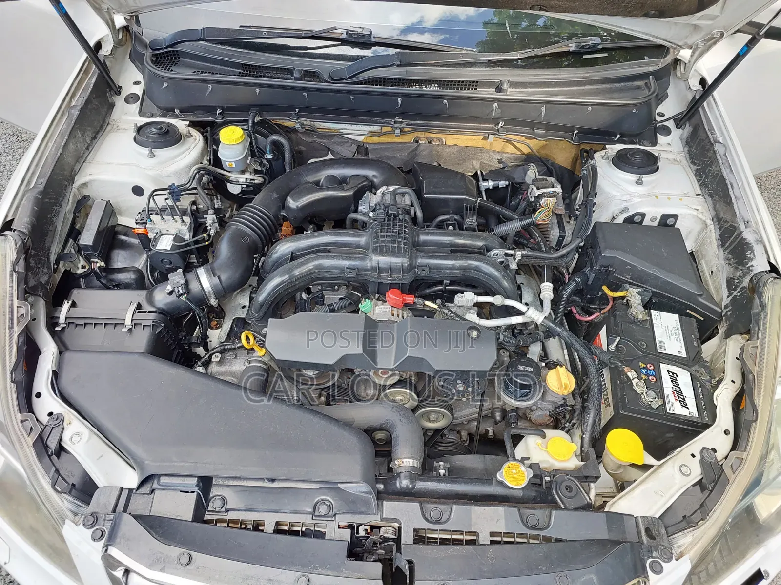 Subaru Legacy 2013 Pearl