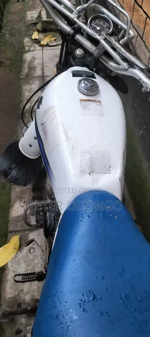Suzuki 2011 White
