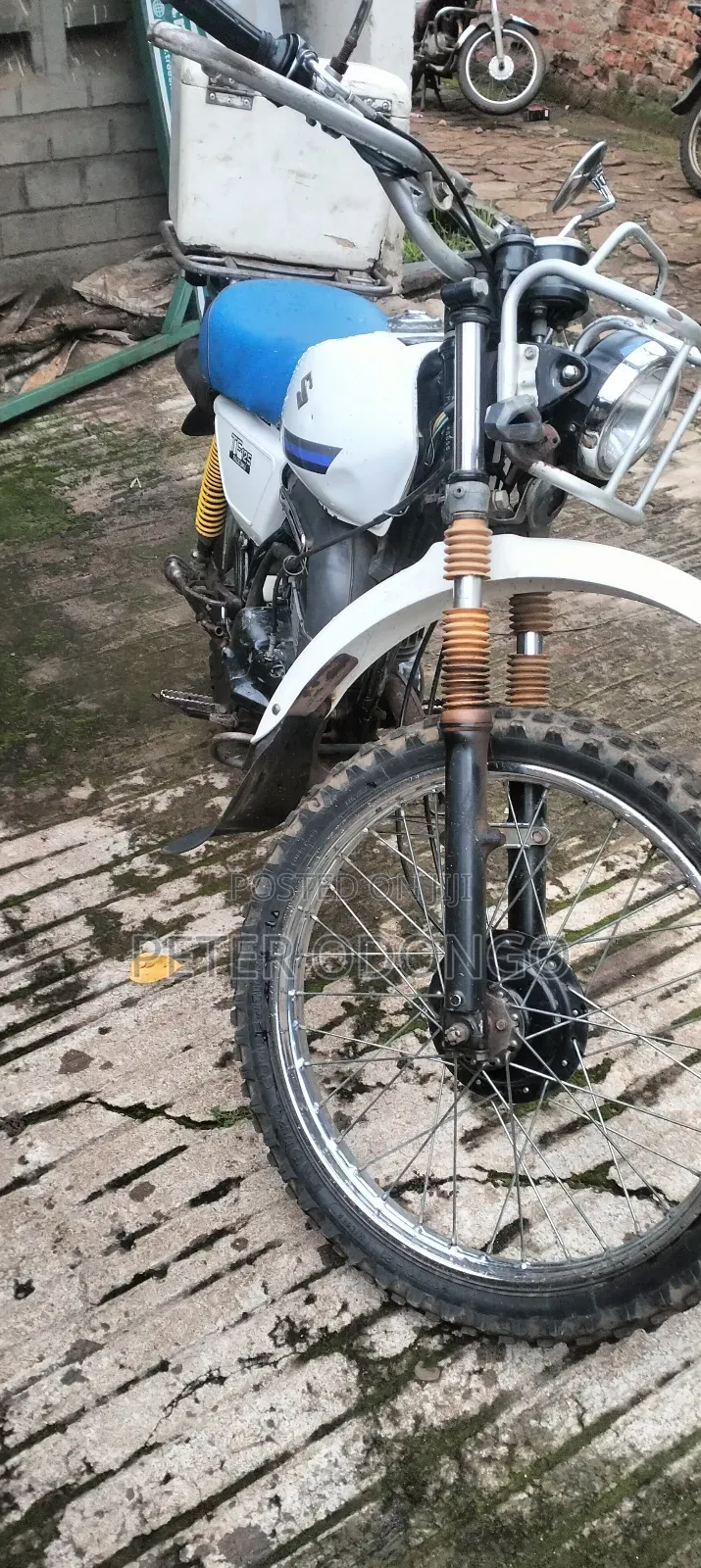 Suzuki 2011 White