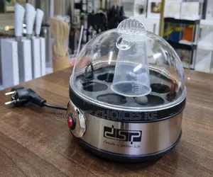 DSP 2 in 1 Electric Egg Boiler