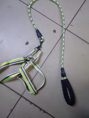 High Quality Dog Leash