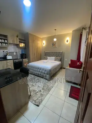 Fully Furnished Studio in South B- South Suites Apartment