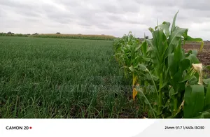 Farm for Sale in Isinya Along Namanga Road