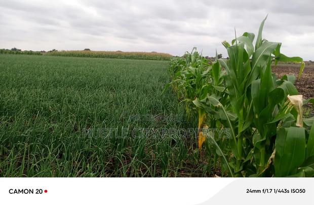 Farm for Sale in Isinya Along Namanga Road