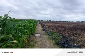 Farm for Sale in Isinya Along Namanga Road
