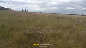 3acres Mwiyogo Kieni Nyeri.