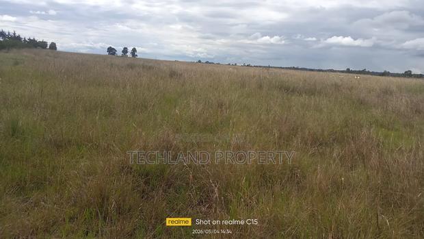 3acres Mwiyogo Kieni Nyeri.