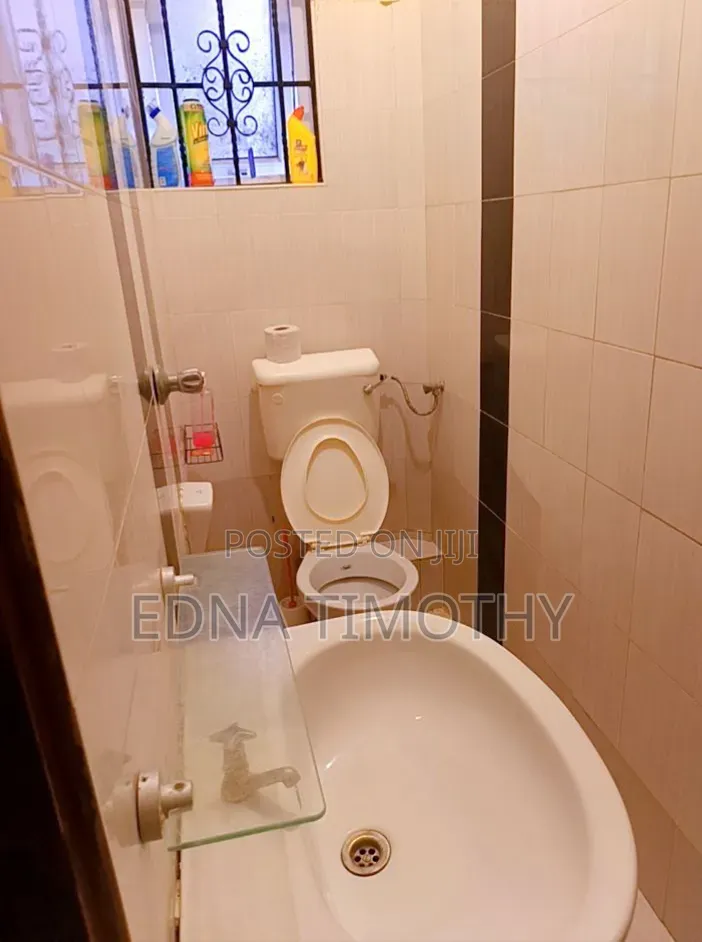 Furnished 1bdrm Bedsitter in Acsent Court, Nyali Mkomani for rent