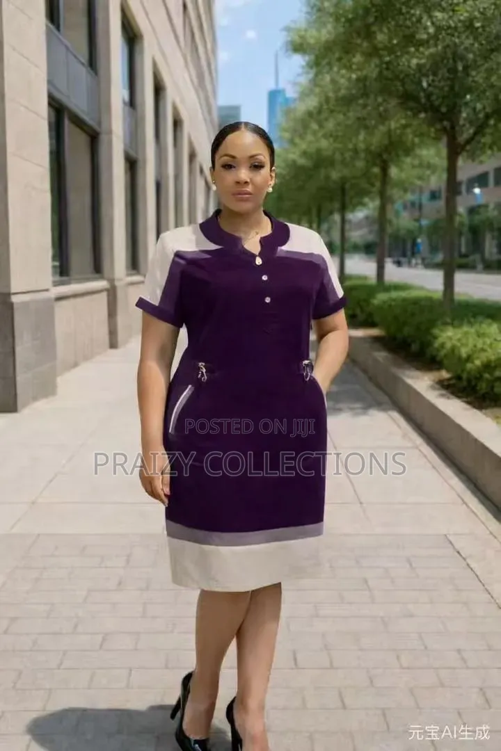Elegant Two-Tone Dress