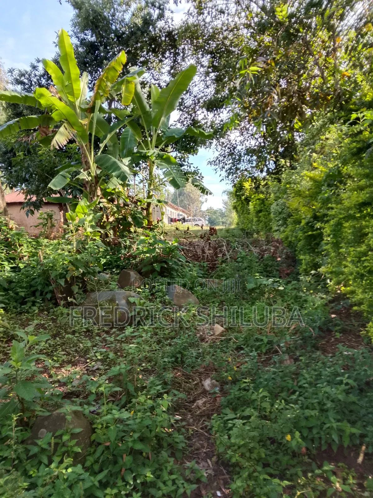 Plot for Sell