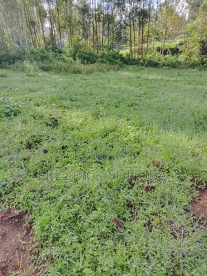 Plot for Sell