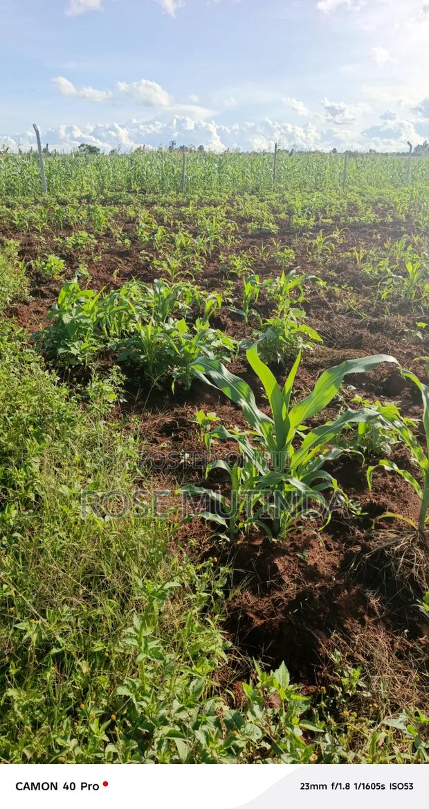 Land for Sell