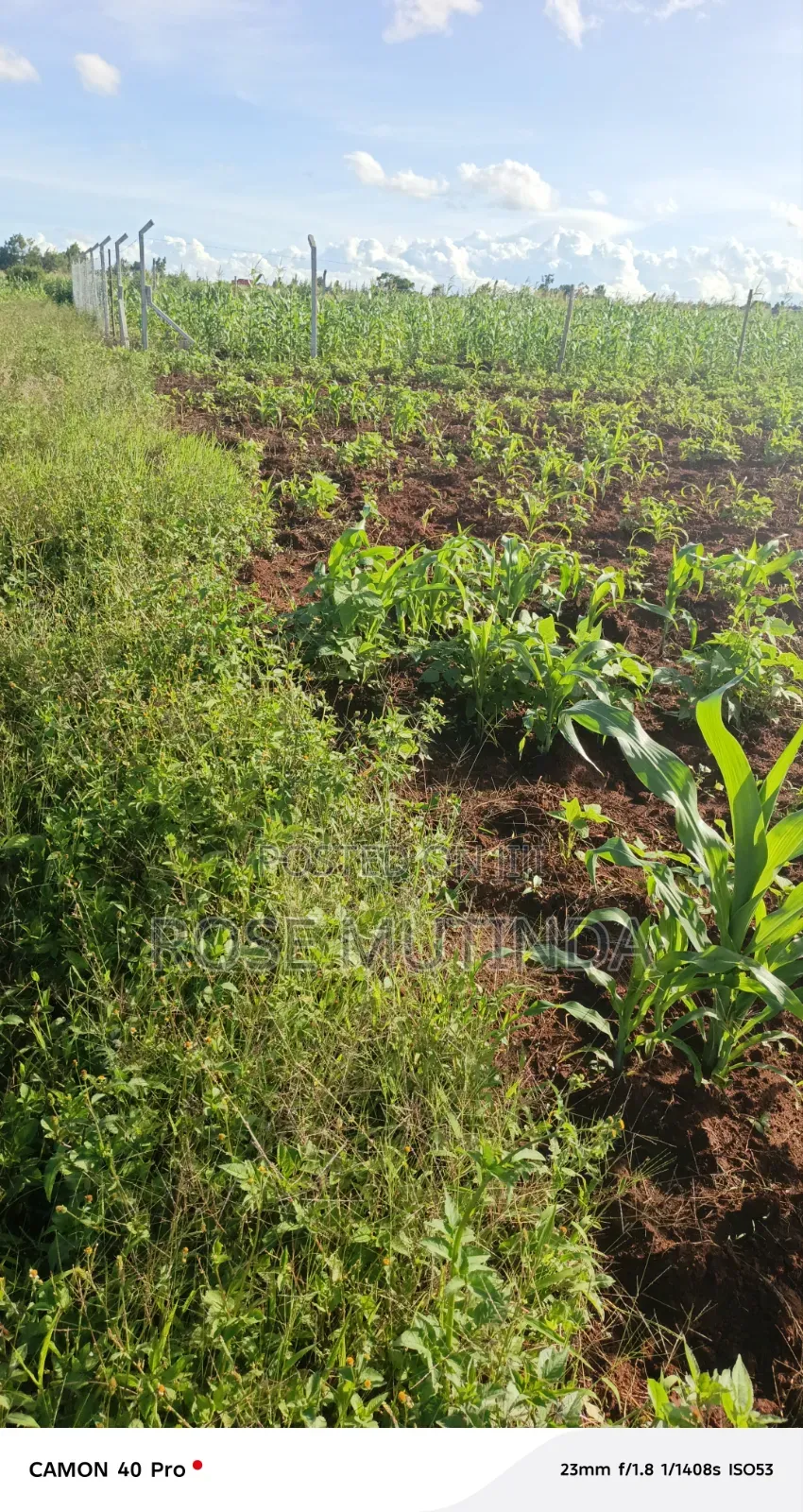 100 by 100 at Matingi