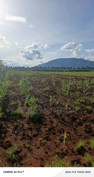 100 by 100 at Matingi