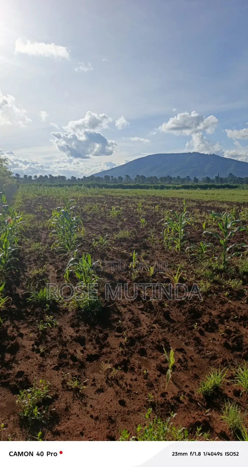 100 by 100 at Matingi