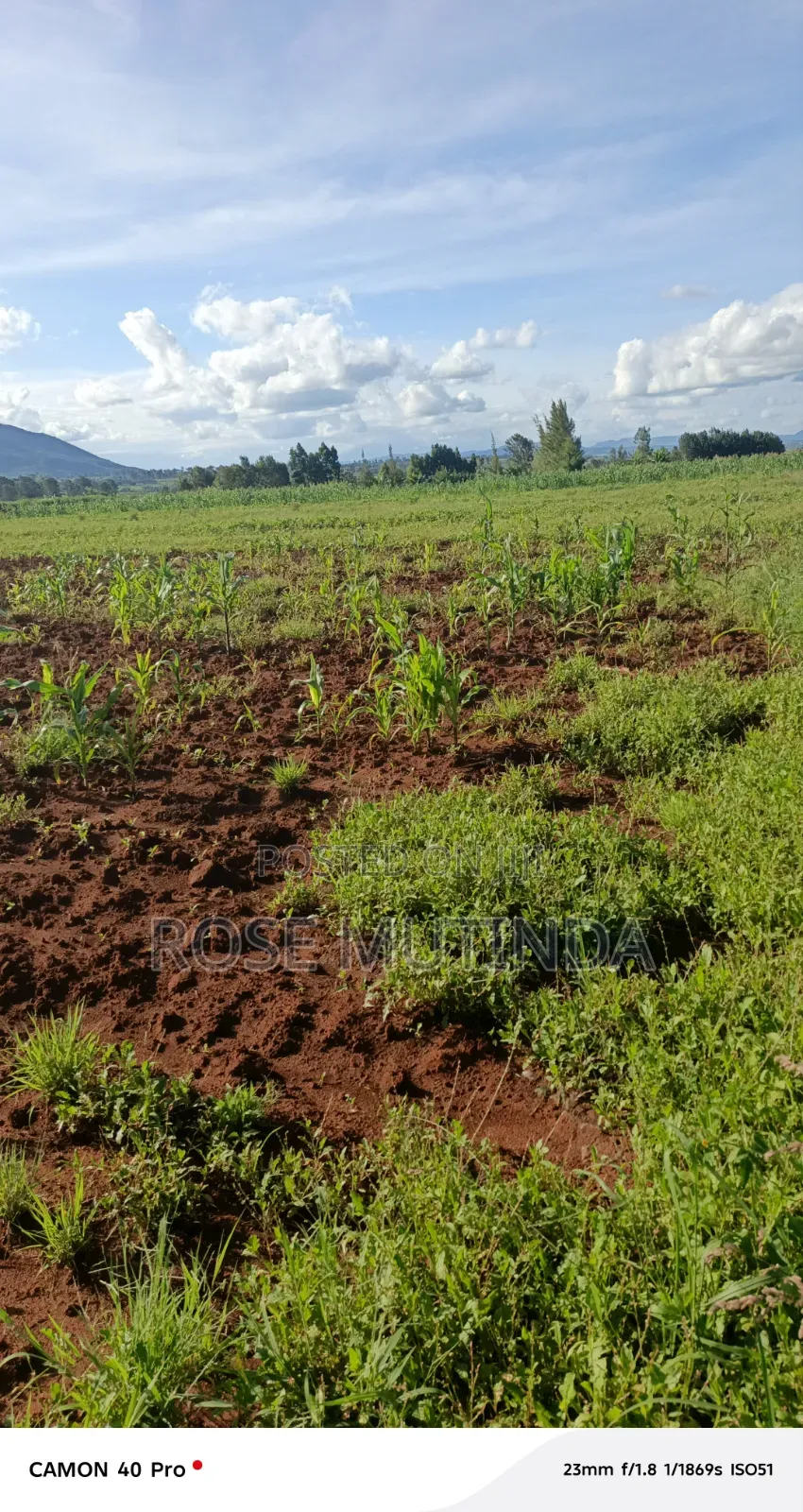 100 by 100 at Matingi