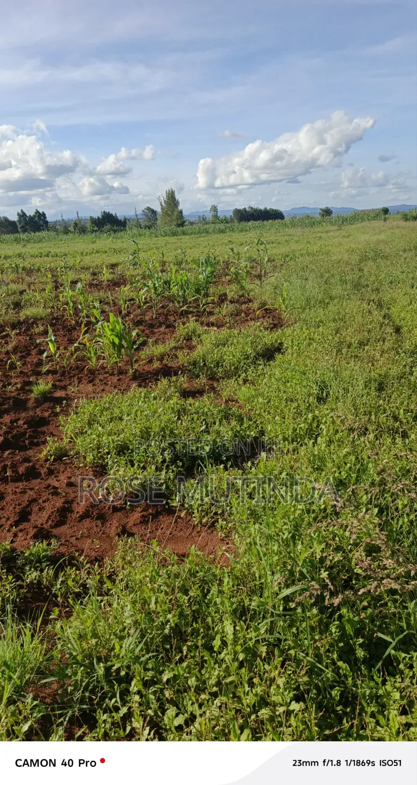 100 by 100 at Matingi