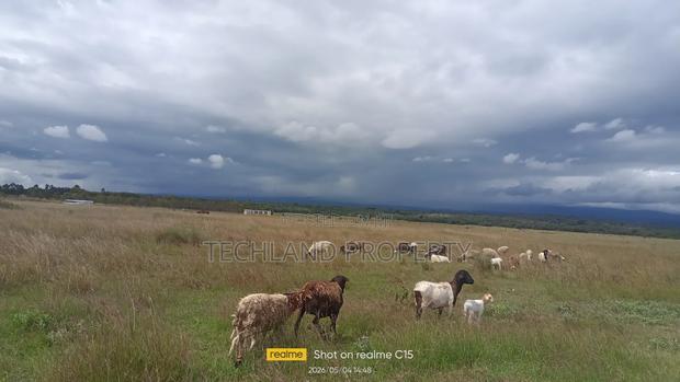 4 Acres Mbirithi Ruirii Nyeri. - thumbnail 2