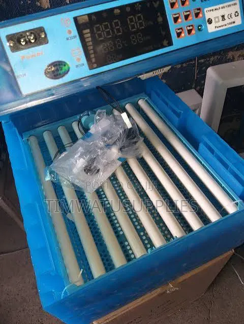 64 Eggs Automatic Incubator
