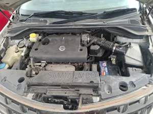Nissan Murano 2009 Silver