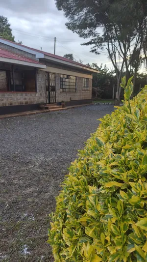 Furnished 1bdrm Bedsitter in Kimumu for rent