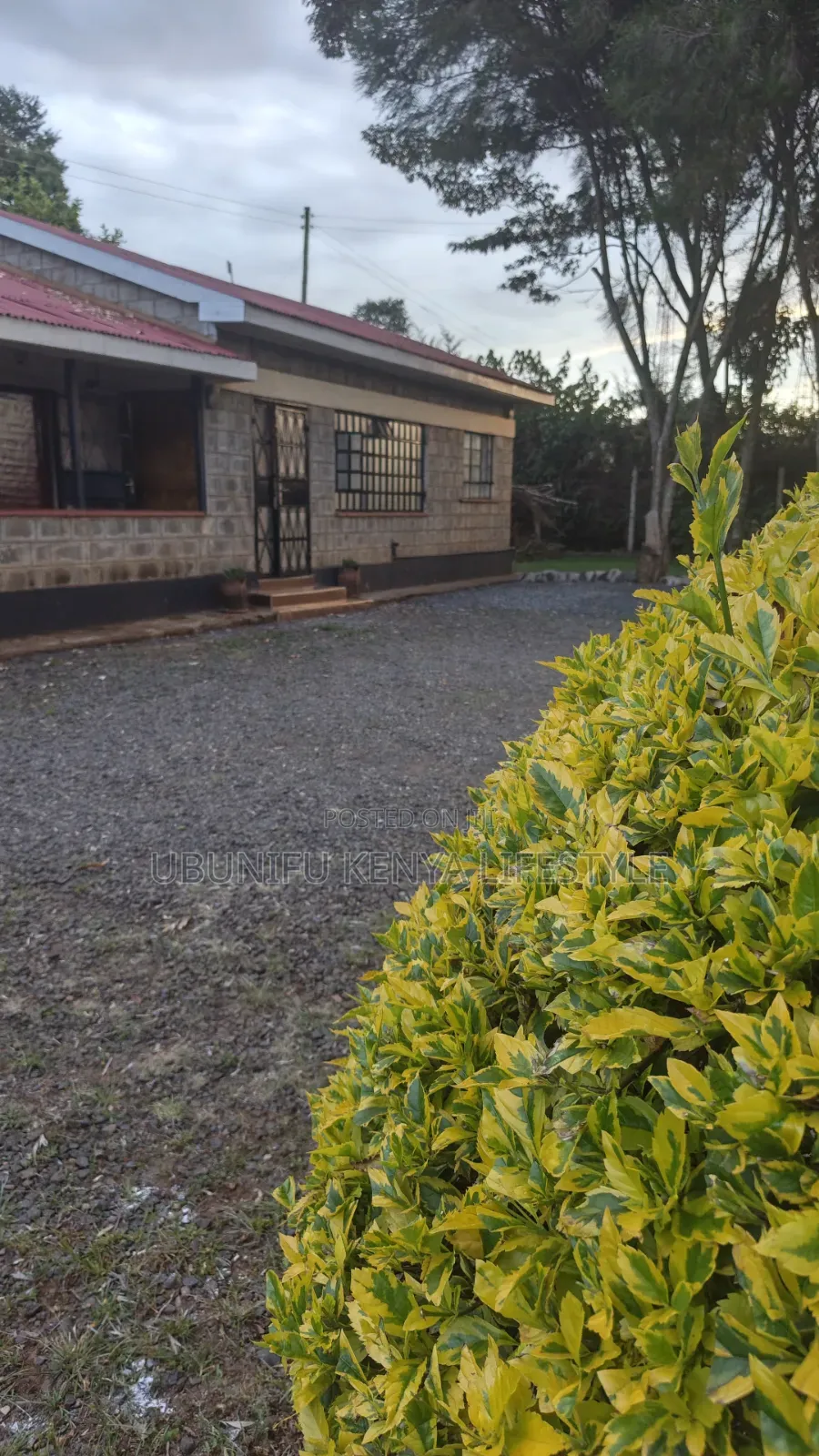 Furnished 1bdrm Bedsitter in Kimumu for rent
