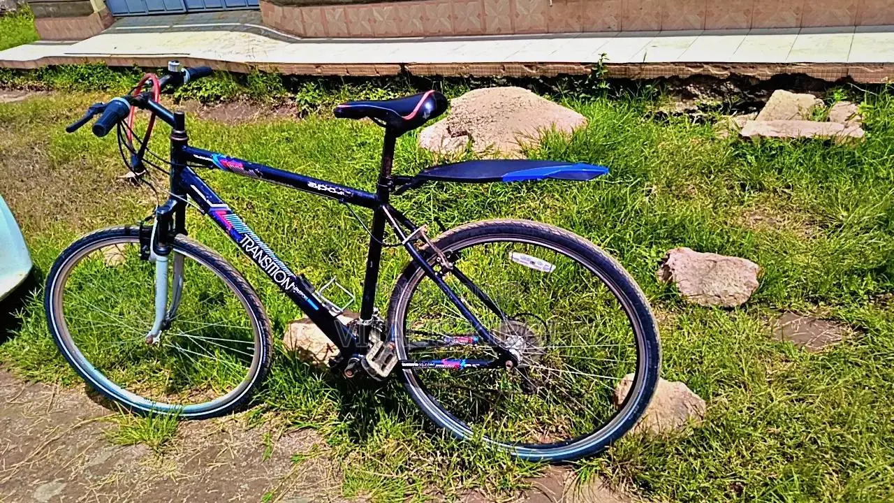 Size 29 Bicycle