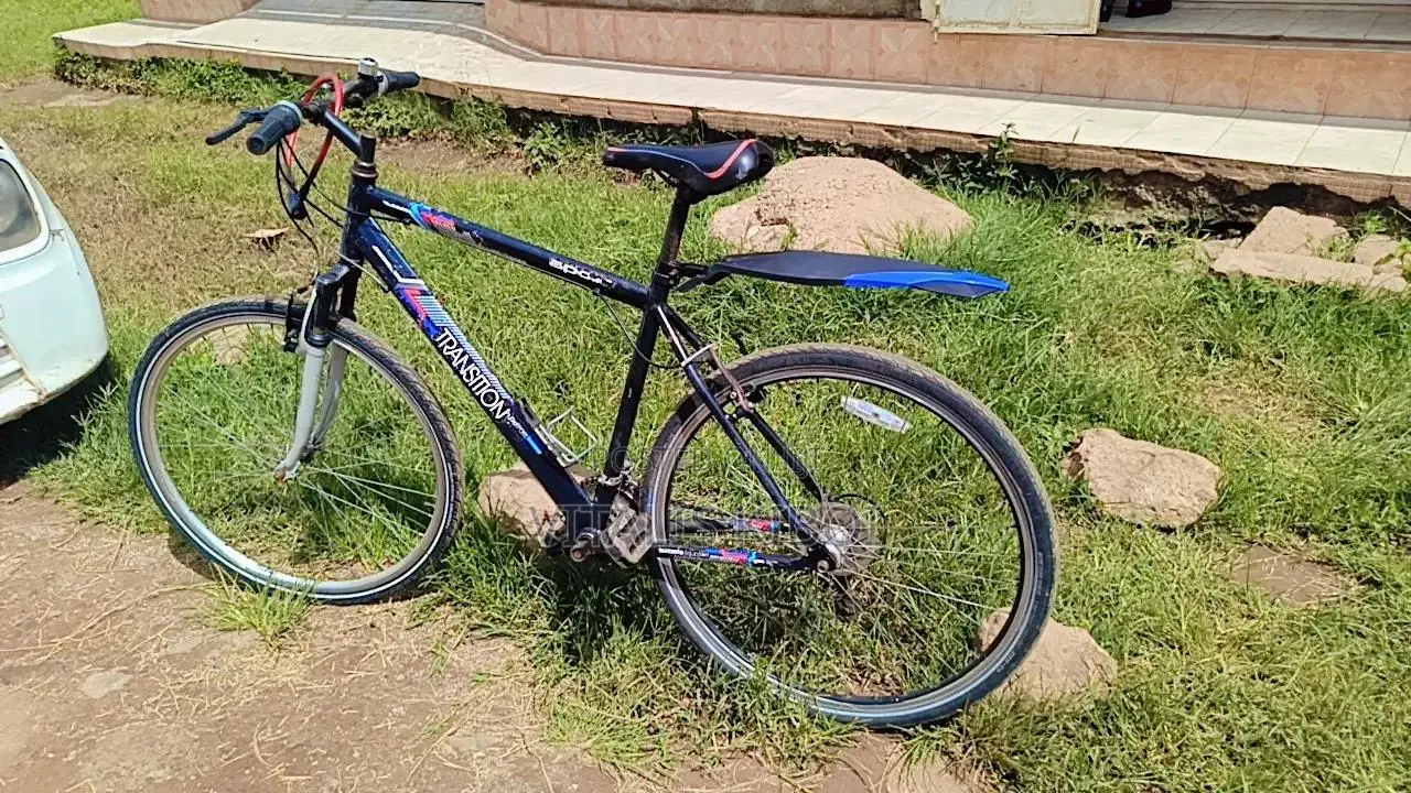 Size 29 Bicycle