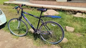 Size 29 Bicycle