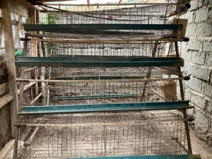 128 Chicken Cage