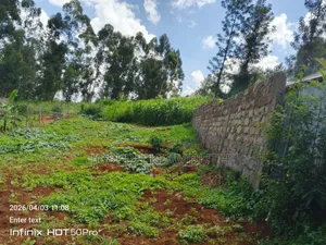 50*100 Plot in Ikinu,Kiambu