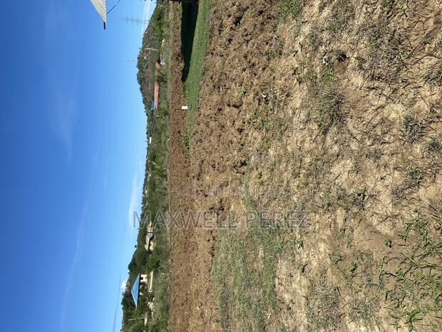 Land 50 by 100 - thumbnail 2