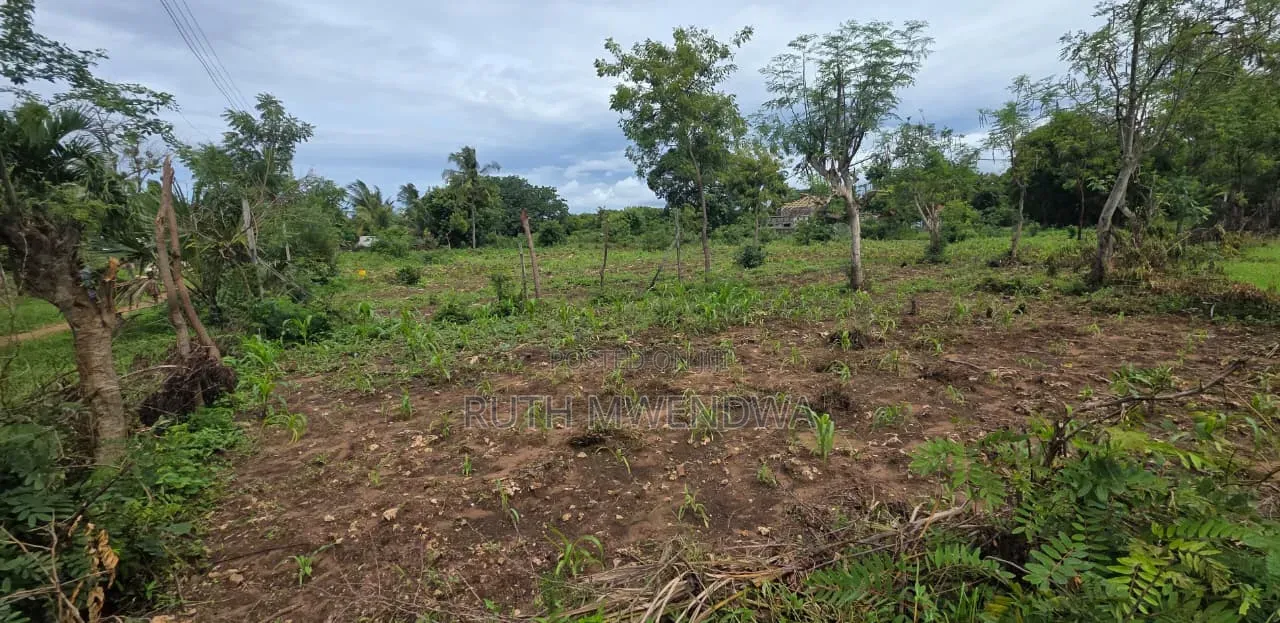 Land for Sale in Kikambala