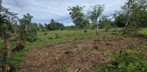 Land for Sale in Kikambala