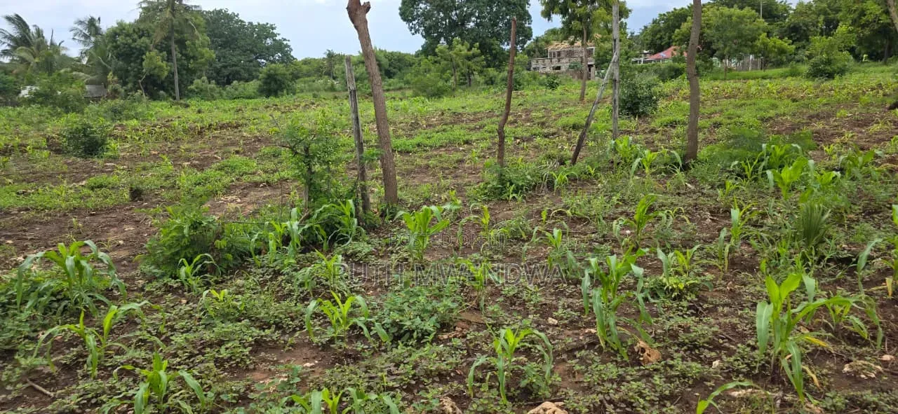 Land for Sale in Kikambala
