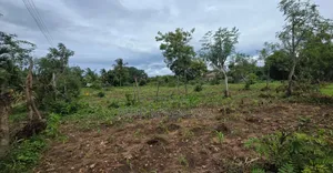 Land for Sale in Kikambala