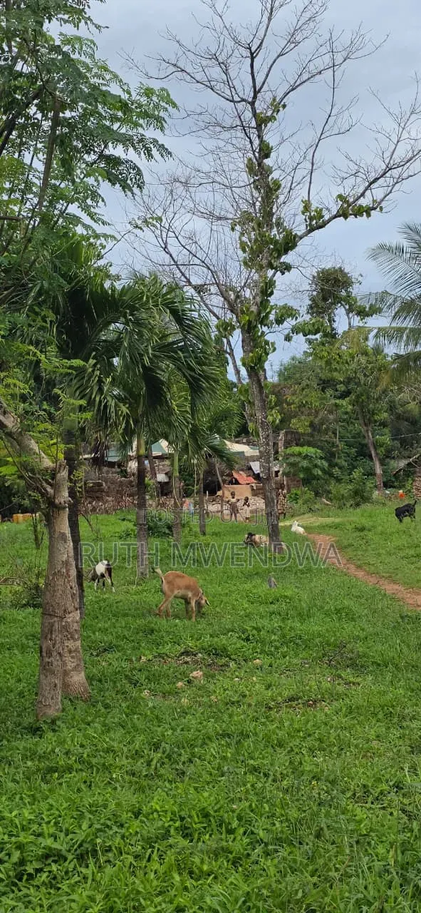 Land for Sale in Kikambala