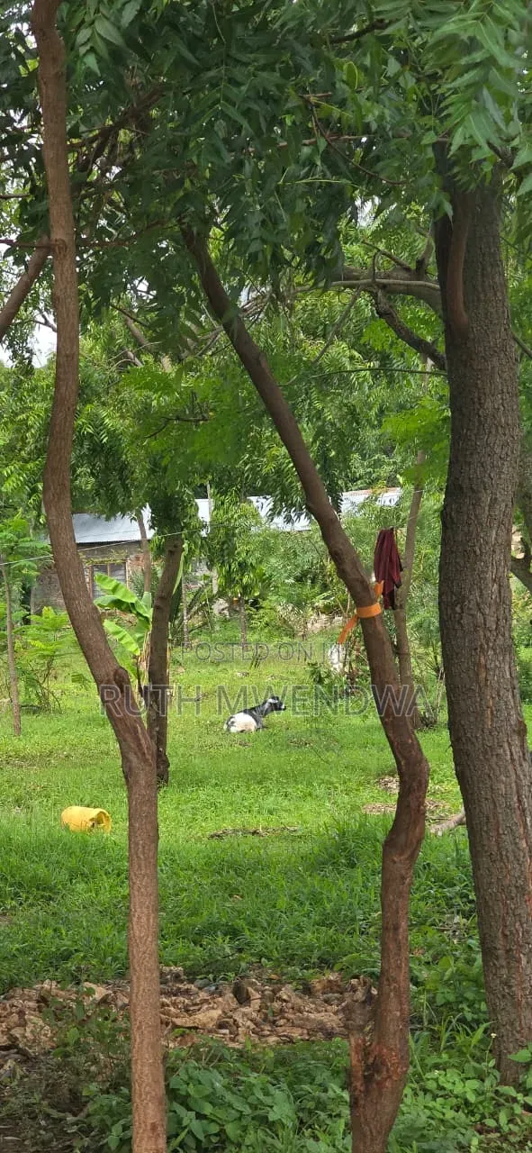 Land for Sale in Kikambala