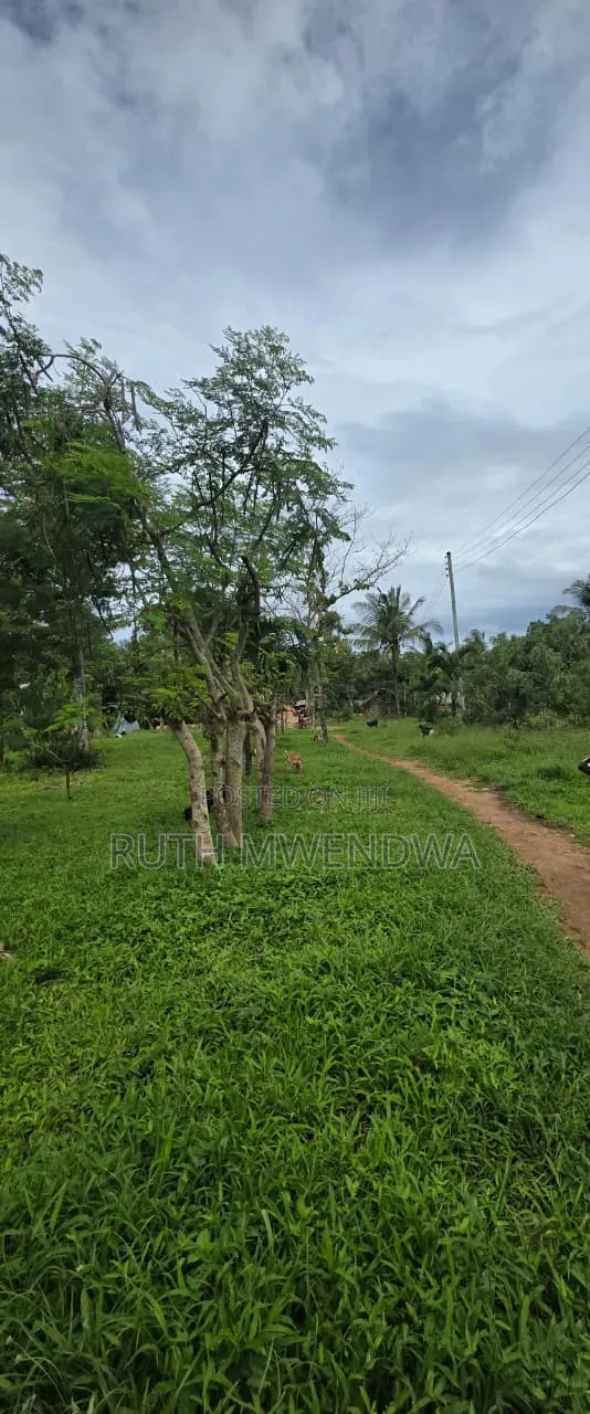 Land for Sale in Kikambala
