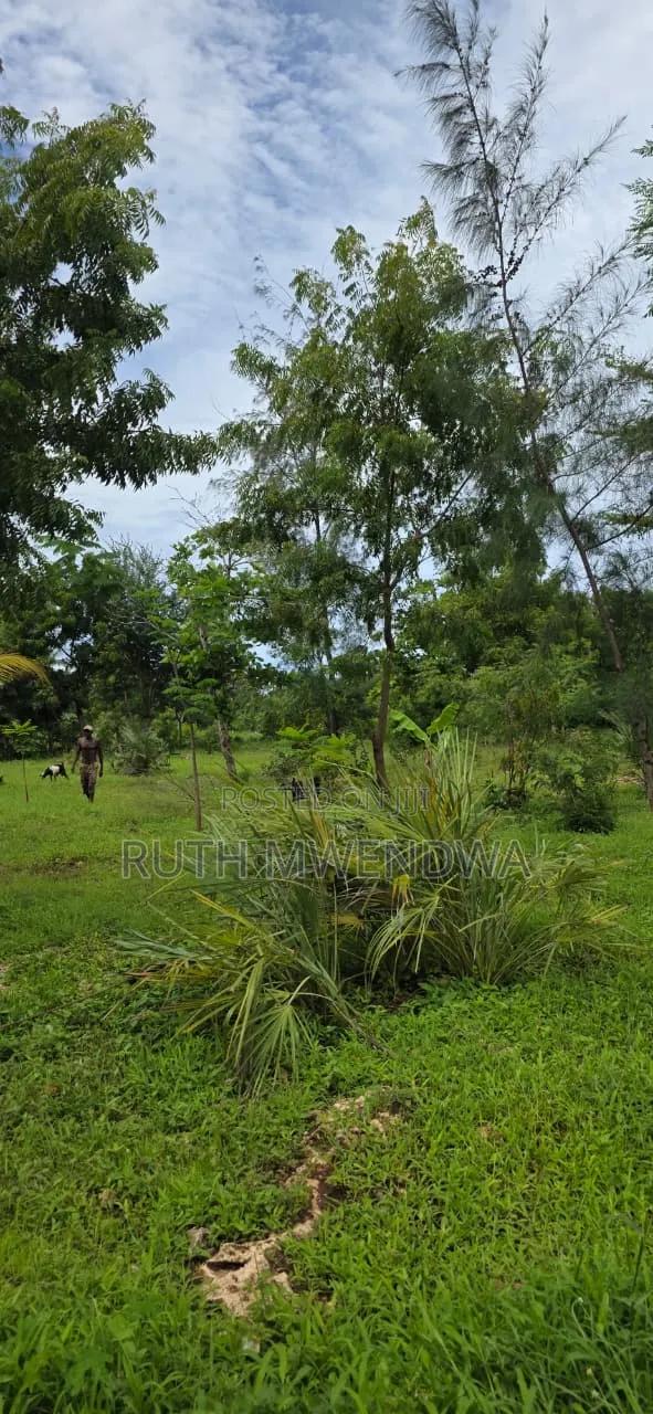Land for Sale in Kikambala - thumbnail 8