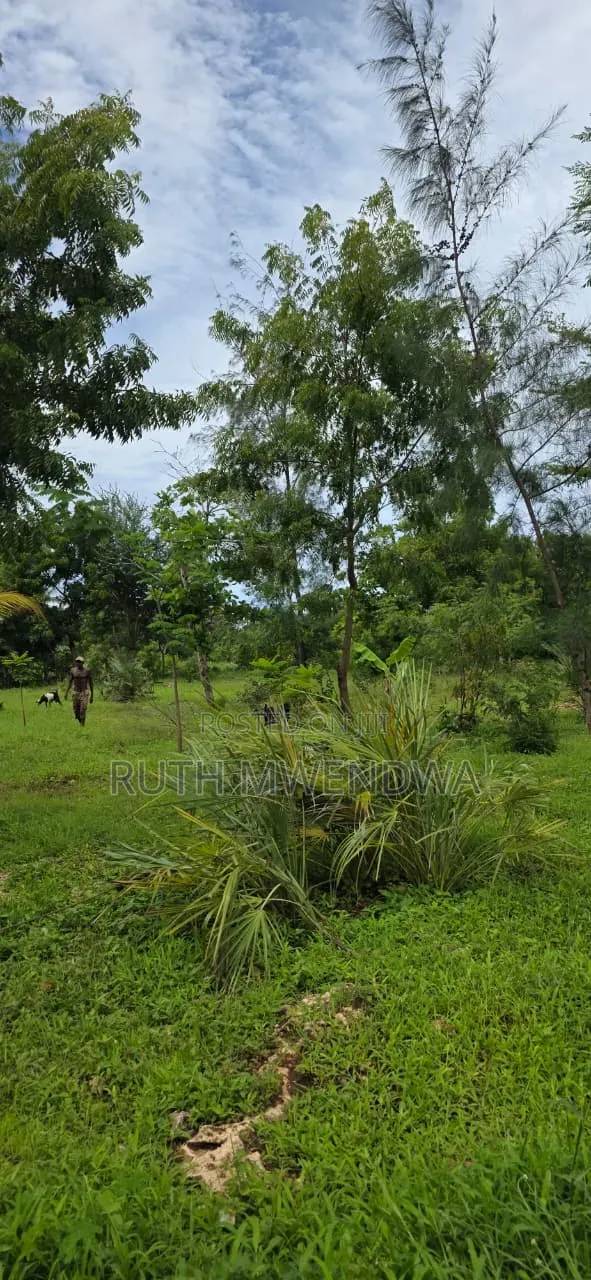 Land for Sale in Kikambala
