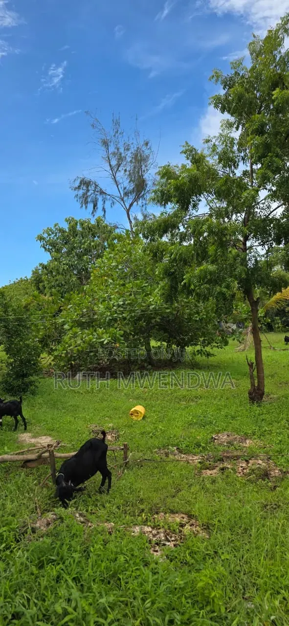 Land for Sale in Kikambala