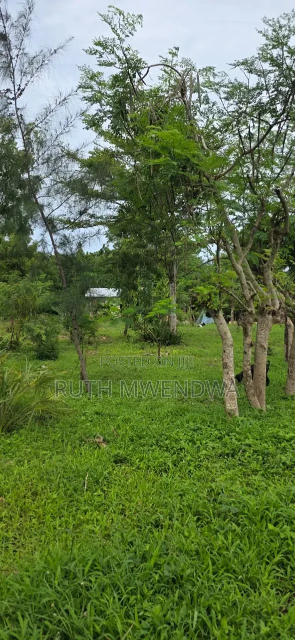 Land for Sale in Kikambala