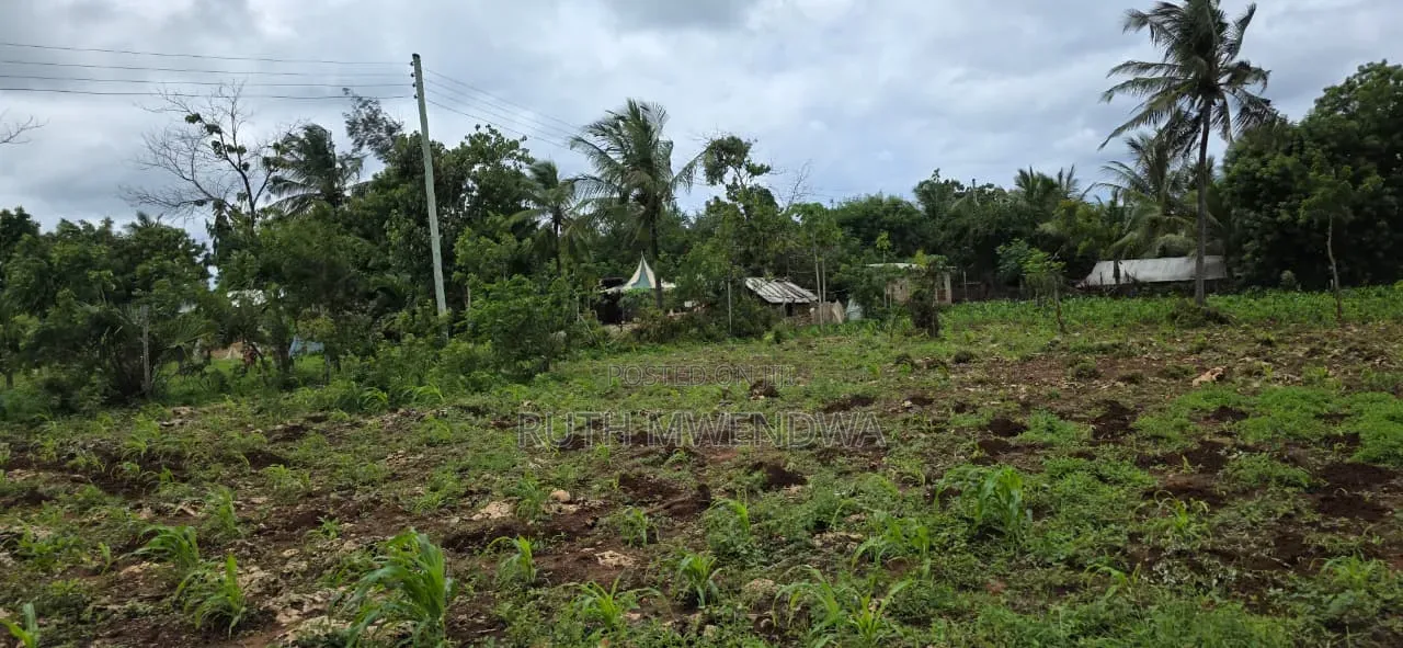 Land for Sale in Kikambala