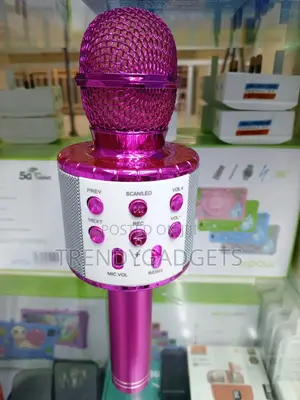 Ws-858l Wireless Mic Speaker Echo Karaoke Microphone