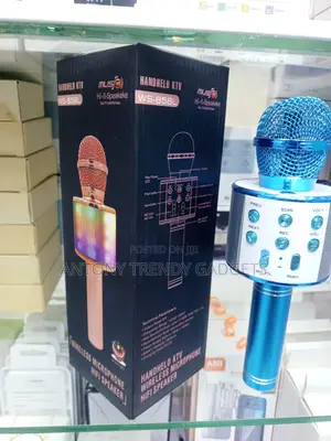 Ws-858l KTV Mic With Bluetooth Speaker Usb Tf Player