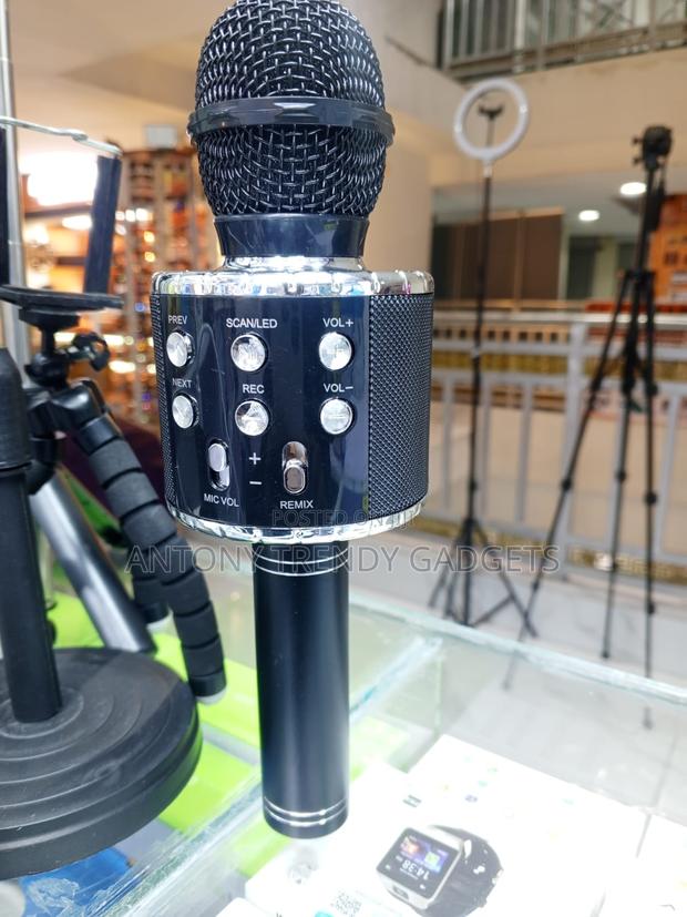 Ws-858l KTV Mic With Bluetooth Speaker Usb Tf Player - thumbnail 2